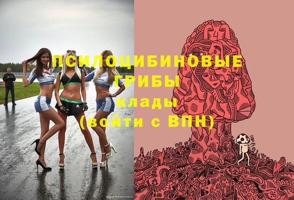 mix Богородицк